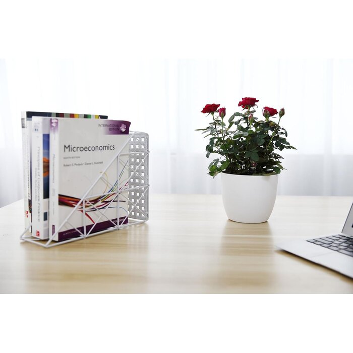 Lot de 4 pots de fleurs auto-arrosants blancs en plastique, 15 cm, pour intérieur/extérieur