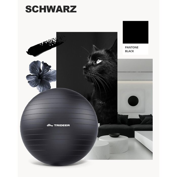 Ballon de Fitness Anti-Rupture Noir 68-75 cm - Équilibre, Yoga & Pilates