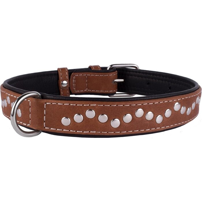 Laisse en Cuir pour Chien avec Clous - Marron/Noir - Ajustable