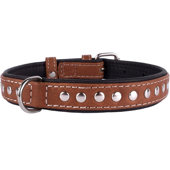 Collier clouté en cuir Noir/Brun pour chien - Jusqu'à 30% de réduction !