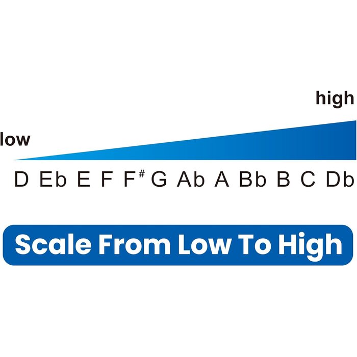 Harmonica chromatique 12 trous, Clé de Do, pour débutants | Économisez jusqu'à 35%