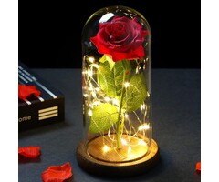 Rose Éternelle Rouge sous Dôme LED - Charme Intemporel | Jusqu'à 35% de Réduction