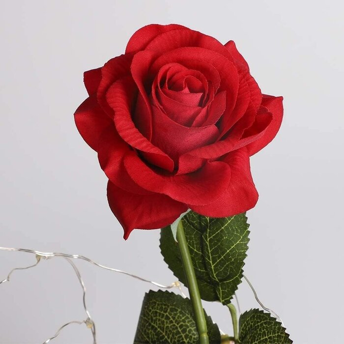 Rose Éternelle Rouge sous Dôme LED - Charme Intemporel | Jusqu'à 35% de Réduction