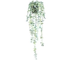 Plante Artificielle Suspendue Eucalyptus 60cm - Jusqu'à 35% de réduction
