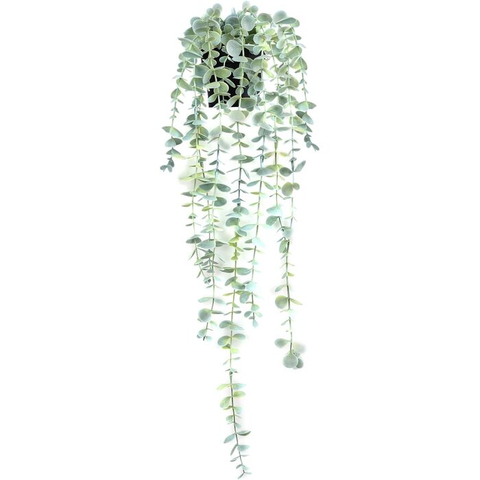 Plante Artificielle Suspendue Eucalyptus 60cm - Jusqu'à 35% de réduction