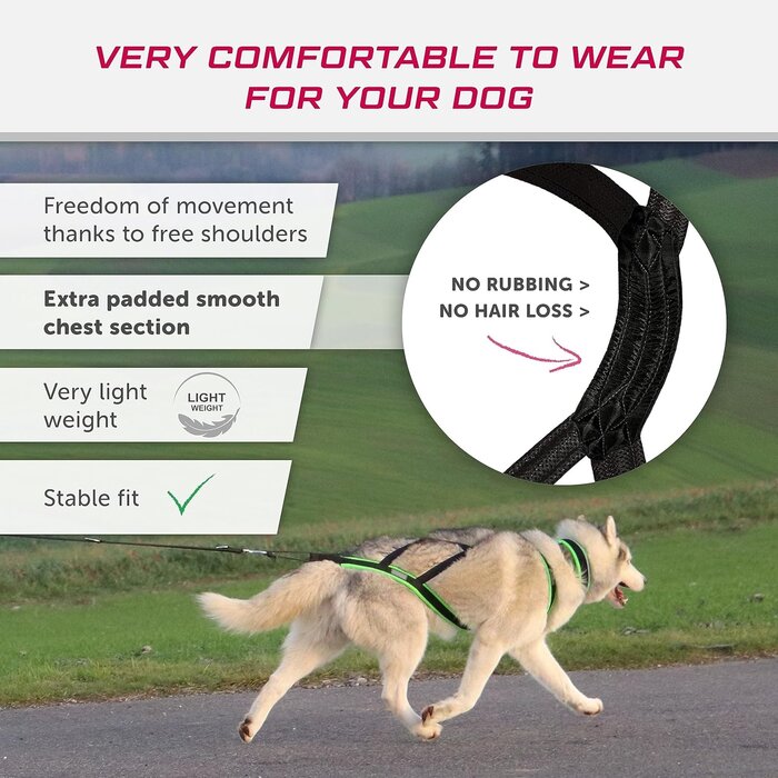 Harnais de traction X-Back chien - Sports canins | Jusqu'à 35% de réduction