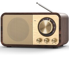 Radio Bluetooth Rétro Aspect Bois - Son 5W - Jusqu'à 35% de remise