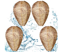 Lot de 4 nids de guêpes factices répulsifs - Jusqu'à -35% d'économie