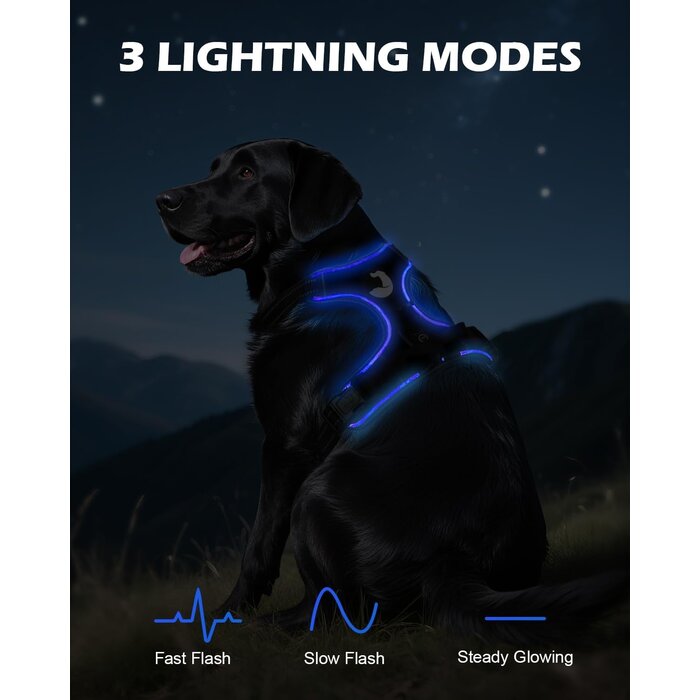 Harnais lumineux anti-traction pour chien taille M - Jusqu'à 35% de remise