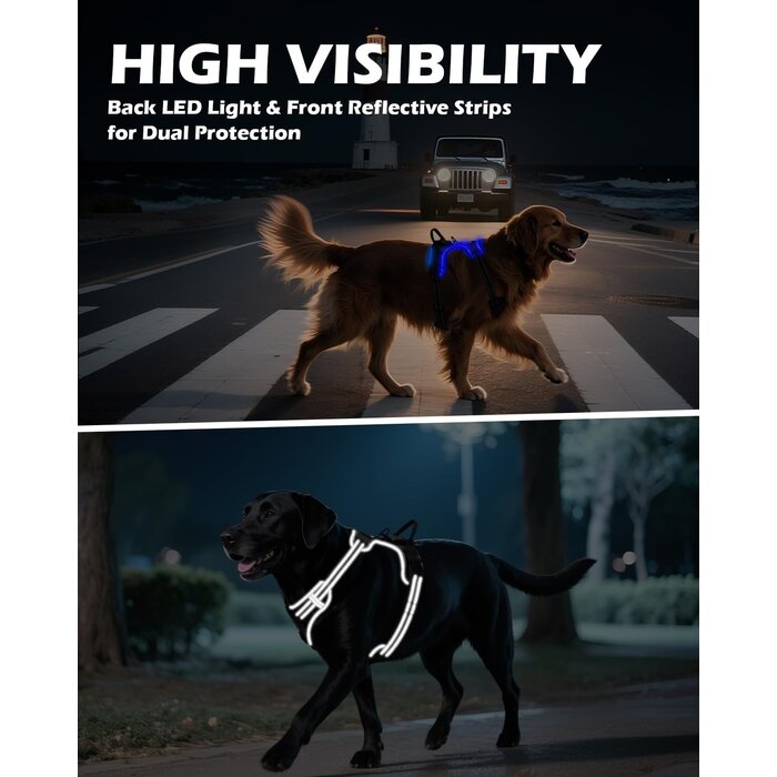 Harnais lumineux anti-traction pour chien taille M - Jusqu'à 35% de remise