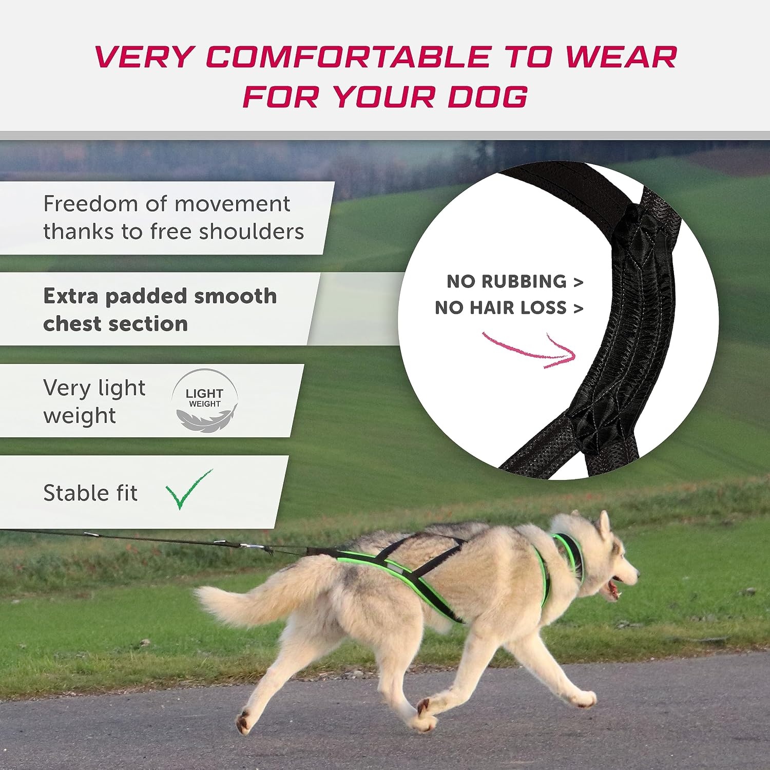 Harnais de traction X-Back pour chien - Noir - Jusqu'à -63,4%