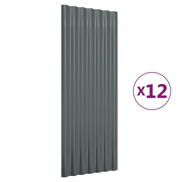 Lot de 12 panneaux de toiture en acier anthracite - Jusqu'à -55%
