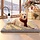Tapis chauffant électrique pour animaux 89x61 cm - Jusqu'à 50% de réduction