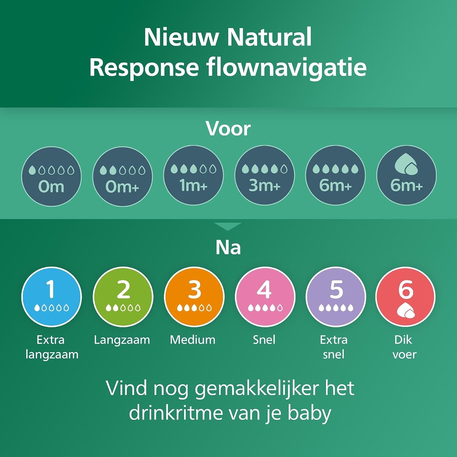 Biberons en verre anti-colique 240ml (lot de 2) - Jusqu'à -32%