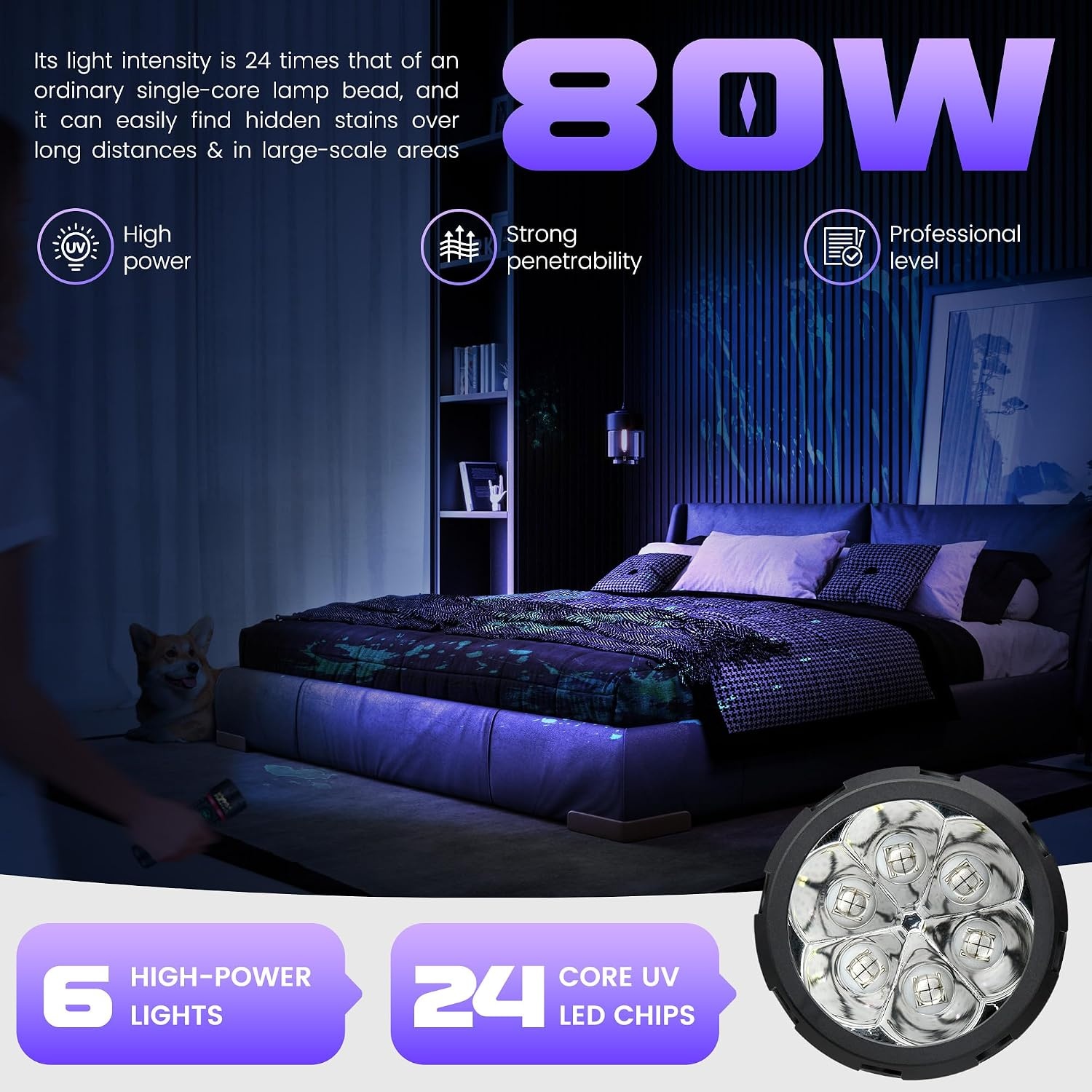 Lampe Torche UV 80W Rechargeable - Jusqu'à -34% sur le prix neuf