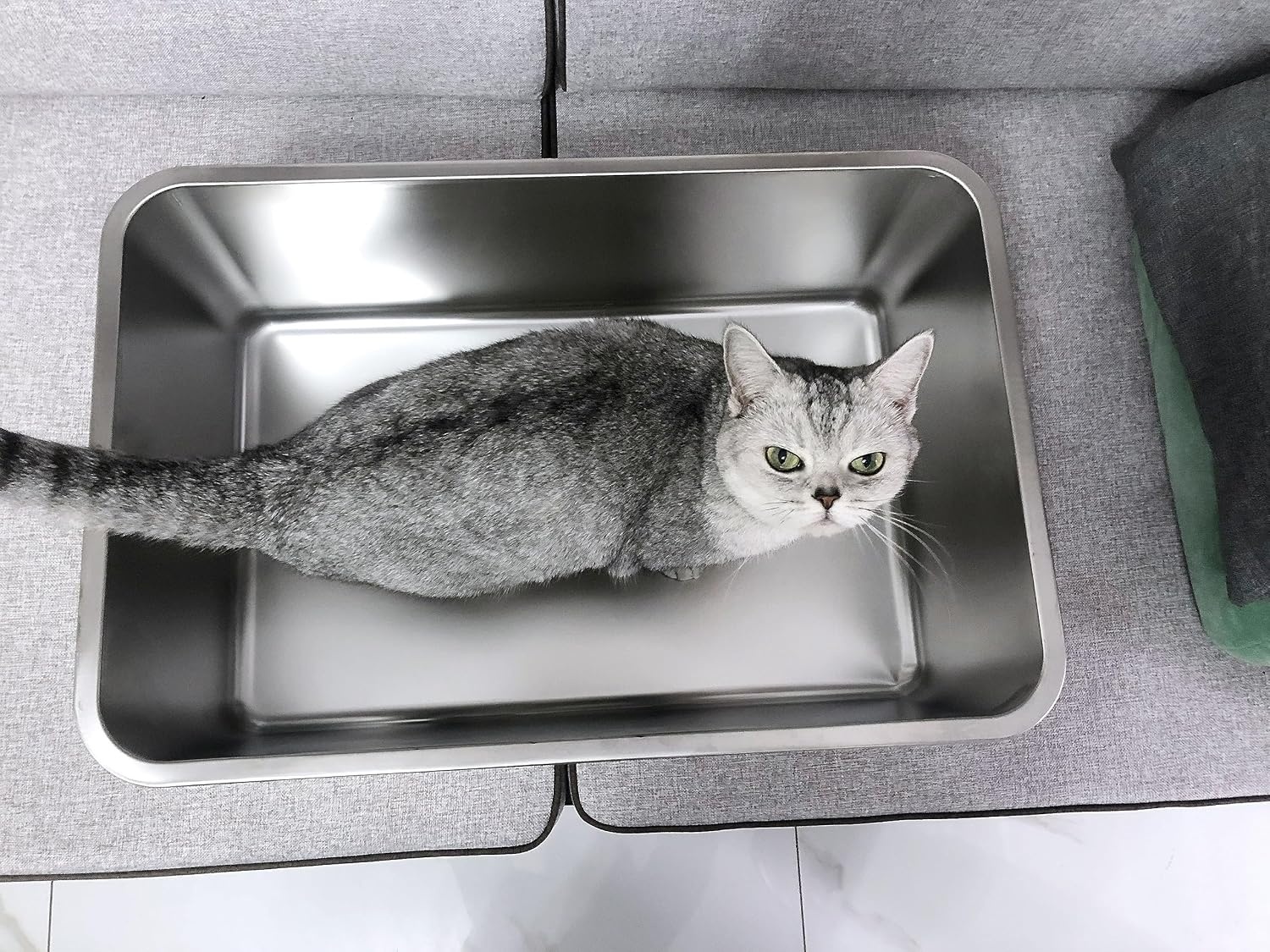 Bac à litière inox pour animaux - 50x35x15 cm - Jusqu'à -33%