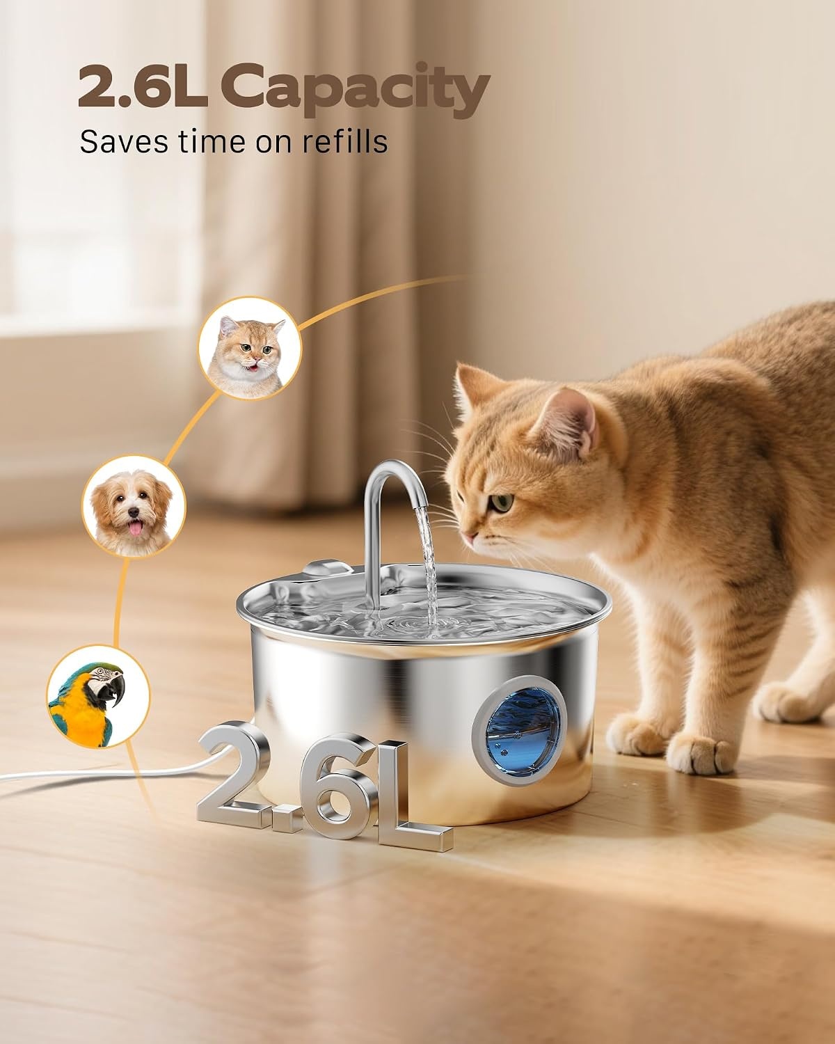 Fontaine à eau pour chat inox 2,6L - Silencieuse - Jusqu'à -32%