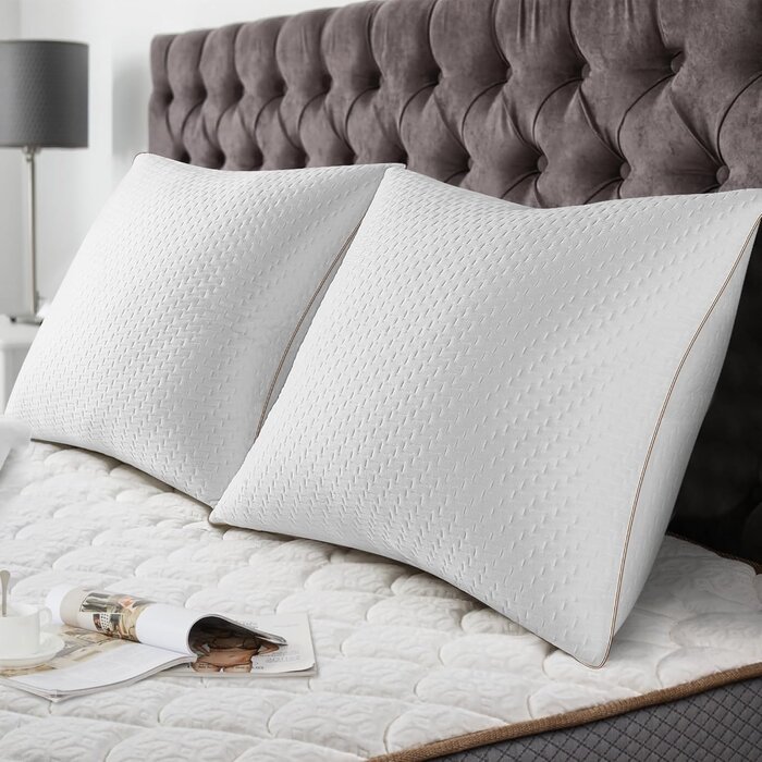Lot de 2 Oreillers Bambou 60x60cm - Confort Ergonomique - Jusqu'à -33%