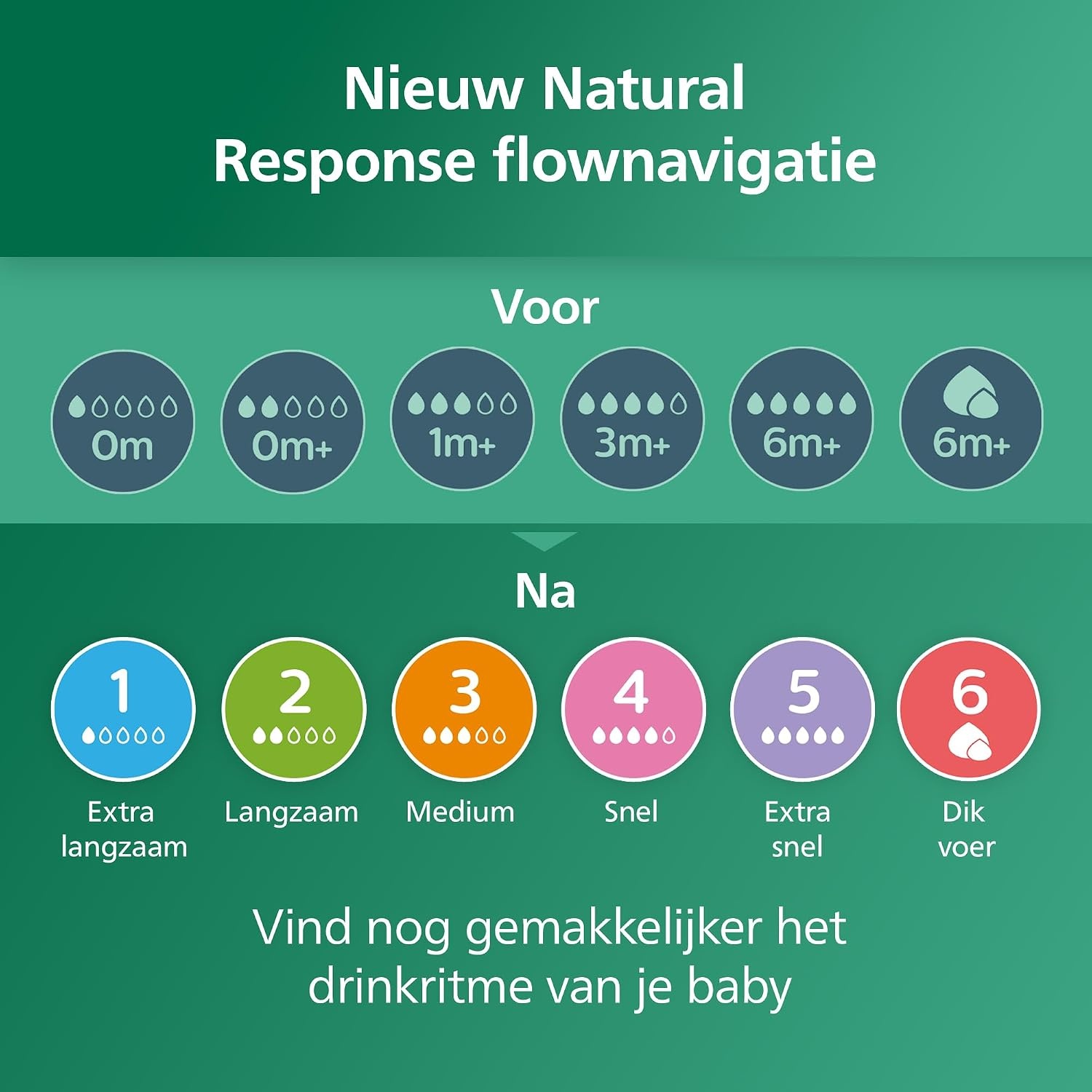 Biberons en verre Natural Response 240 ml - Lot de 2 - Jusqu'à -31%