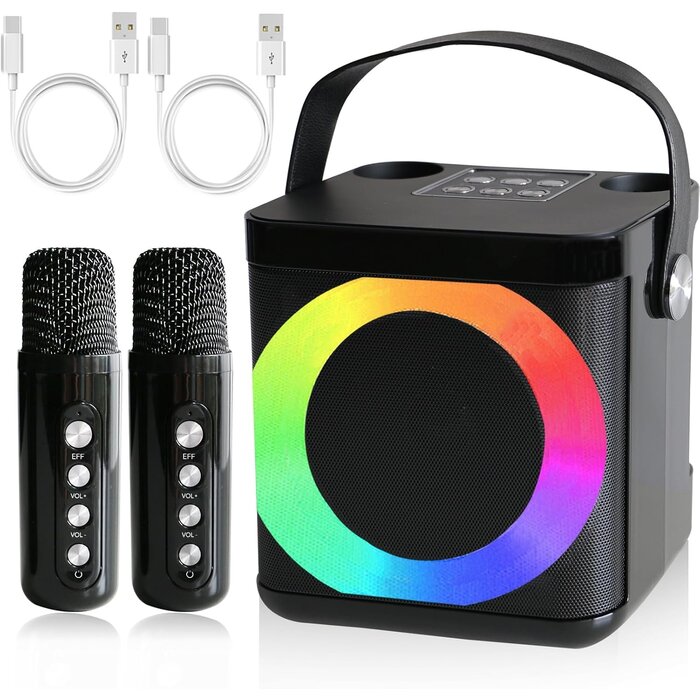 Machine de karaoké portable 10W - Jusqu'à -29% sur votre modèle