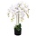 Orchidée artificielle blanche 75 cm : élégance fleurie jusqu'à -33%