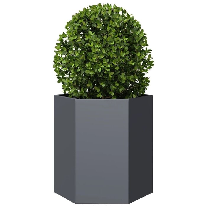 Vidaxl Jardinière hexagonale acier anthracite 46x40x45cm - Jusqu'à -33%