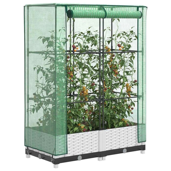 Vidaxl Jardinière surélevée avec serre aspect rotin - Jusqu'à 33% de réduction