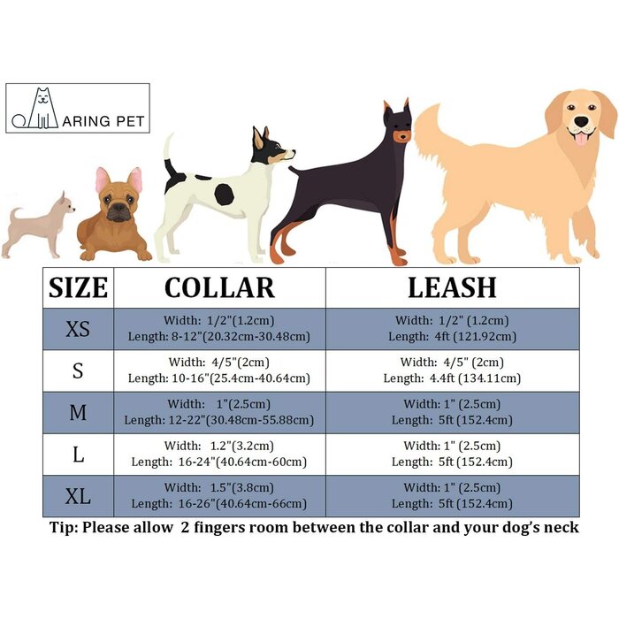 Ensemble collier et laisse velours bleu taille L - Jusqu'à 31% de réduction