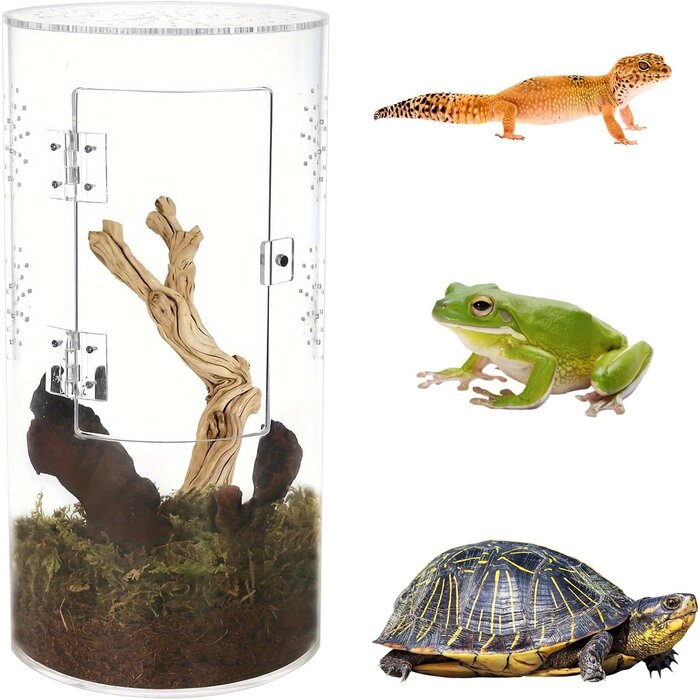Mini Terrarium Cylindrique Acrylique 30x15cm - Jusqu'à 33% de réduction
