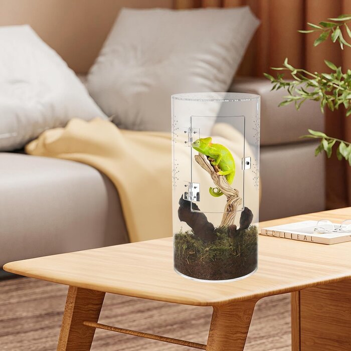 Mini Terrarium Cylindrique Acrylique 30x15cm - Jusqu'à 33% de réduction