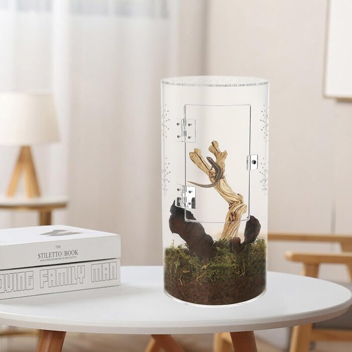 Mini Terrarium Cylindrique Acrylique 30x15cm - Jusqu'à 33% de réduction