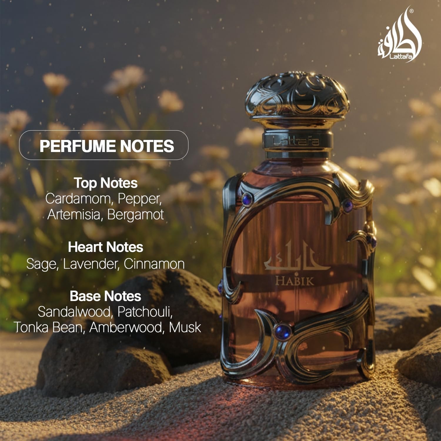 Eau de Parfum Homme 100ml : Notes Épicées et Boisées - Jusqu'à -27%