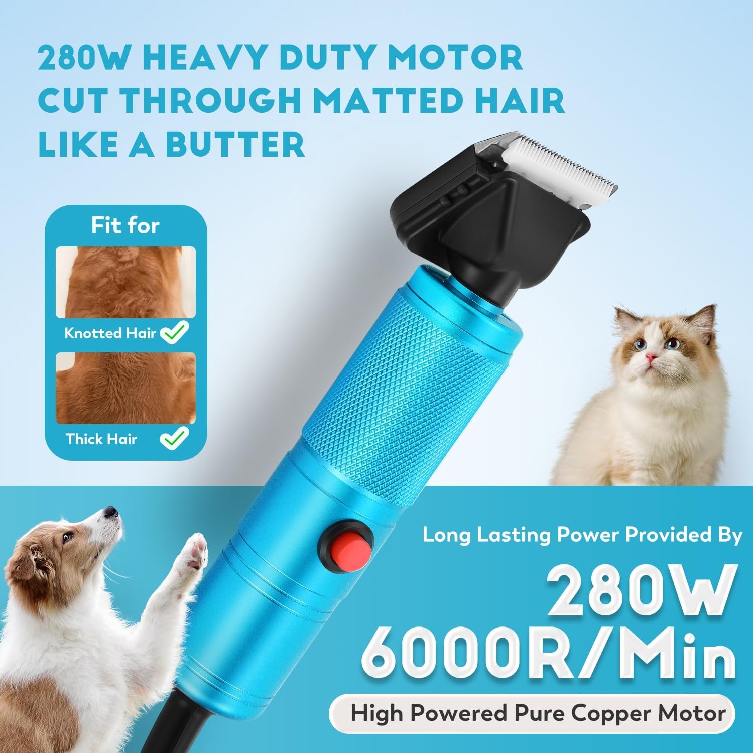 Tondeuse professionnelle pour animaux - Jusqu'à -34% sur le prix outlet