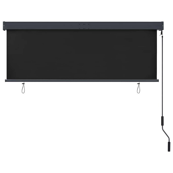 Vidaxl Store Enrouleur Extérieur Anthracite 160x250cm - Jusqu'à -58%