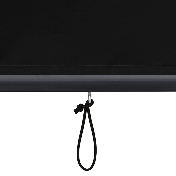 Vidaxl Store Enrouleur Extérieur Anthracite 160x250cm - Jusqu'à -58%