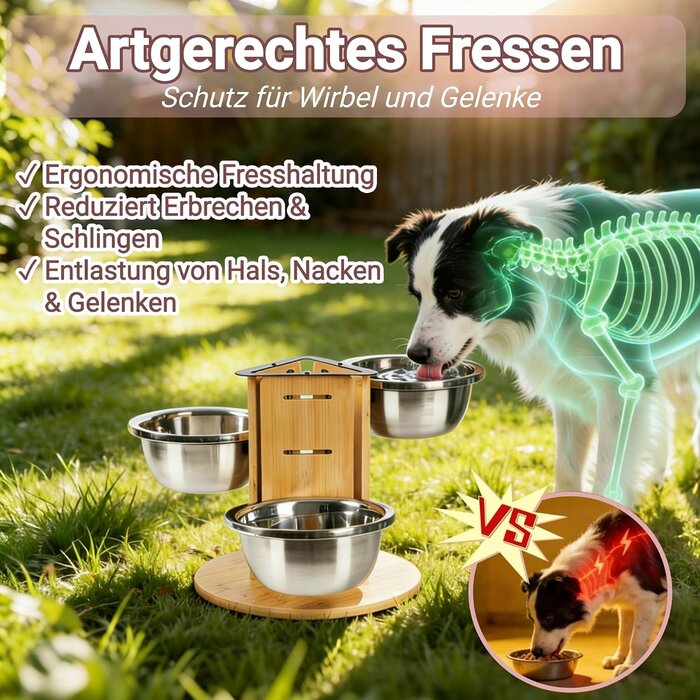 Station de repas surélevée pour chien - Réglable - Jusqu'à 32% de remise