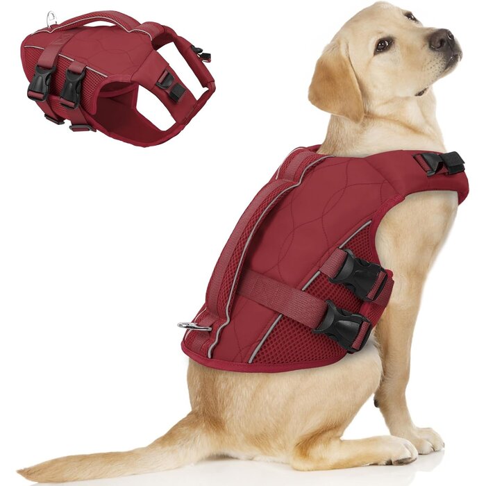 Gilet de sauvetage pour chien XL - Rouge vin - Jusqu'à 33% de réduction