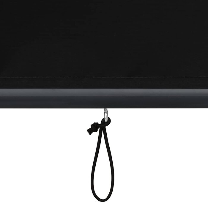 Vidaxl Store enrouleur extérieur anthracite 80x250cm - Jusqu'à -69%