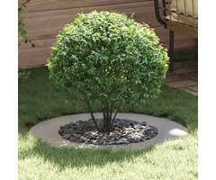 Vidaxl Bordure d'arbre en acier galvanisé - Ø 50/80 cm - Jusqu'à -55%