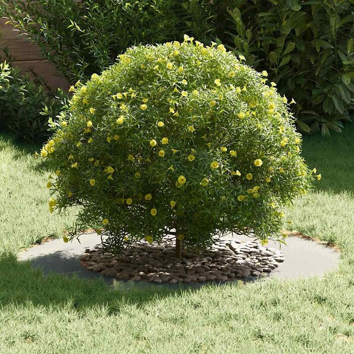 Bordure d'arbre en acier galvanisé - Jusqu'à 32% de réduction