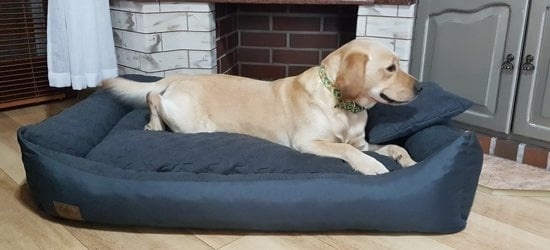 Viking Choice Grand Panier pour Chien 120x90 cm - Anthracite - Jusqu'à -34%