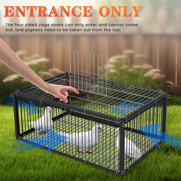 Cage pour oiseaux et pigeons 60 cm Métal noir - Jusqu'à 33% de remise