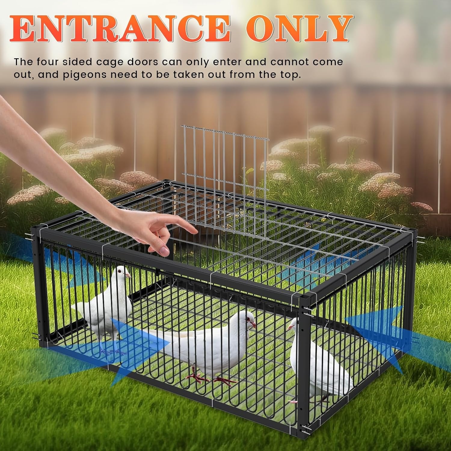 Cage pour oiseaux et pigeons 60 cm Métal noir - Jusqu'à 33% de remise