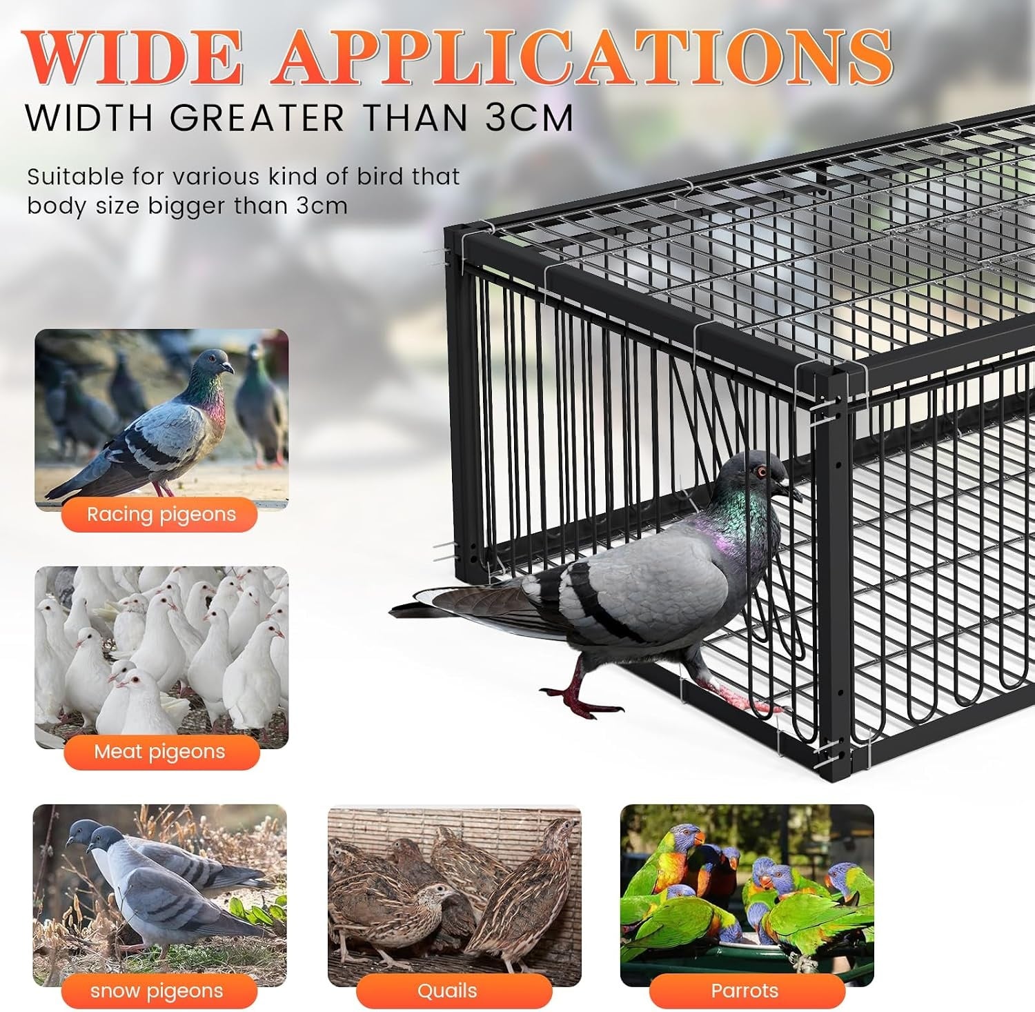 Cage pour oiseaux et pigeons 60 cm Métal noir - Jusqu'à 33% de remise