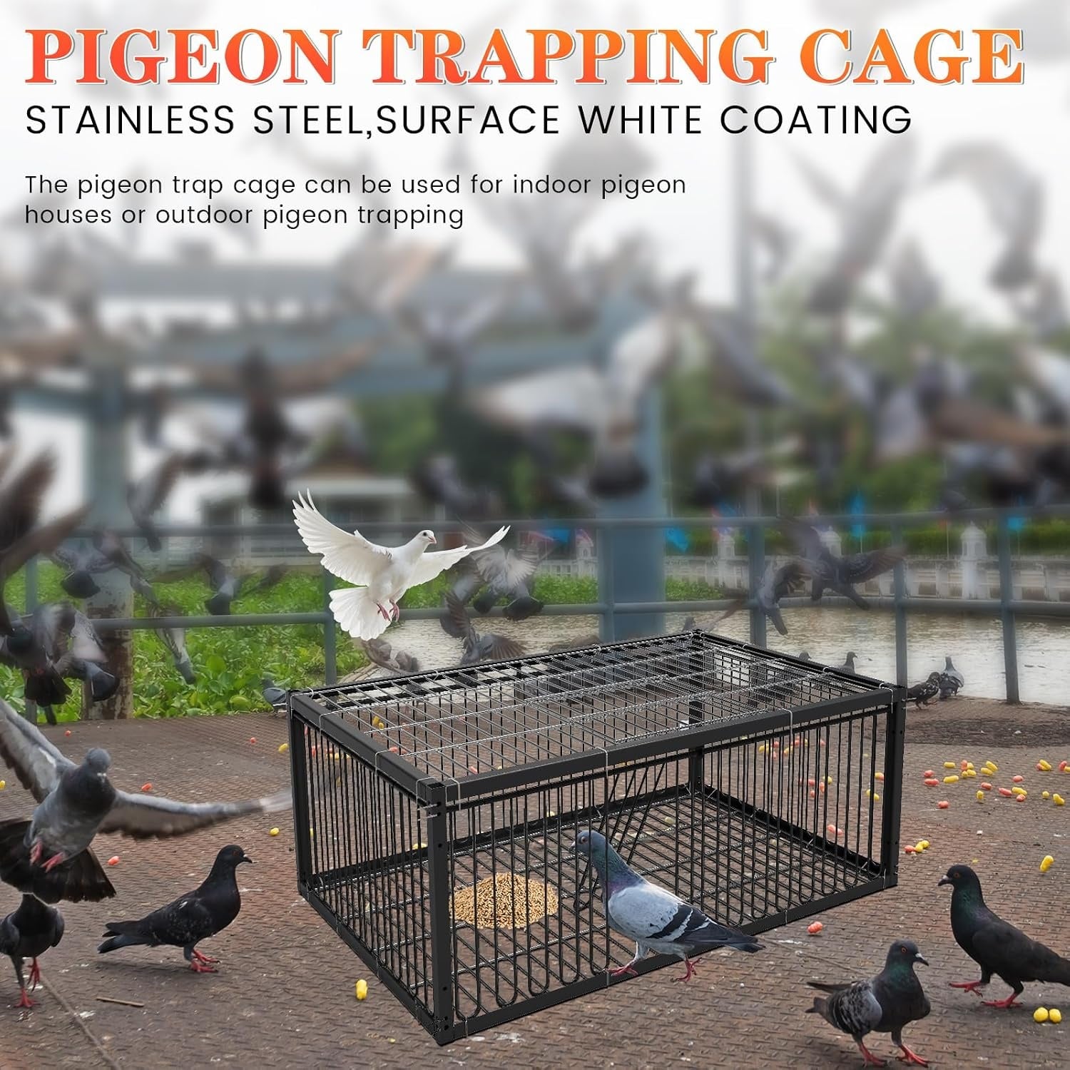 Cage pour oiseaux et pigeons 60 cm Métal noir - Jusqu'à 33% de remise
