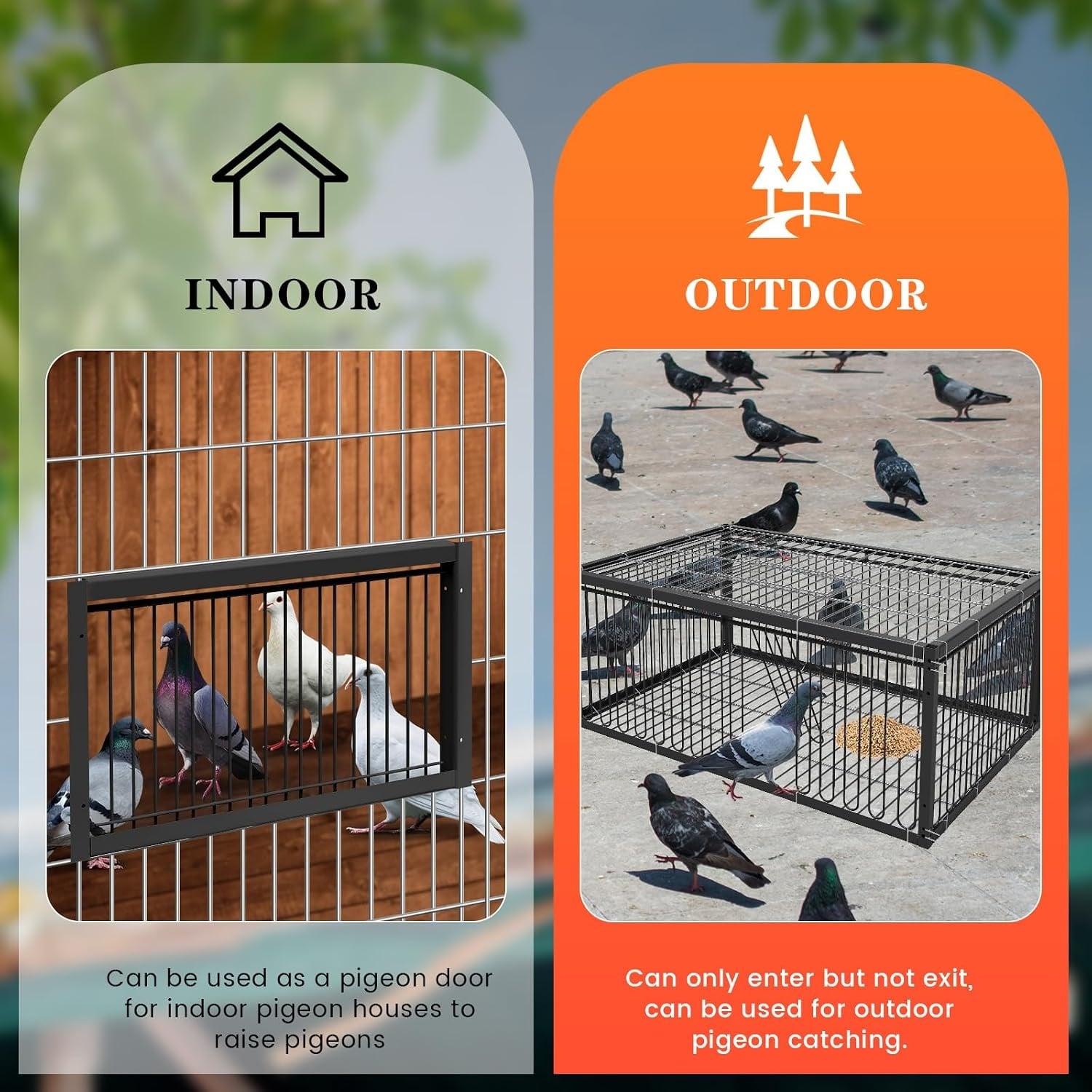 Cage pour oiseaux et pigeons 60 cm Métal noir - Jusqu'à 33% de remise