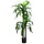 Dracaena artificiel 180 cm : élégance végétale jusqu'à -46%
