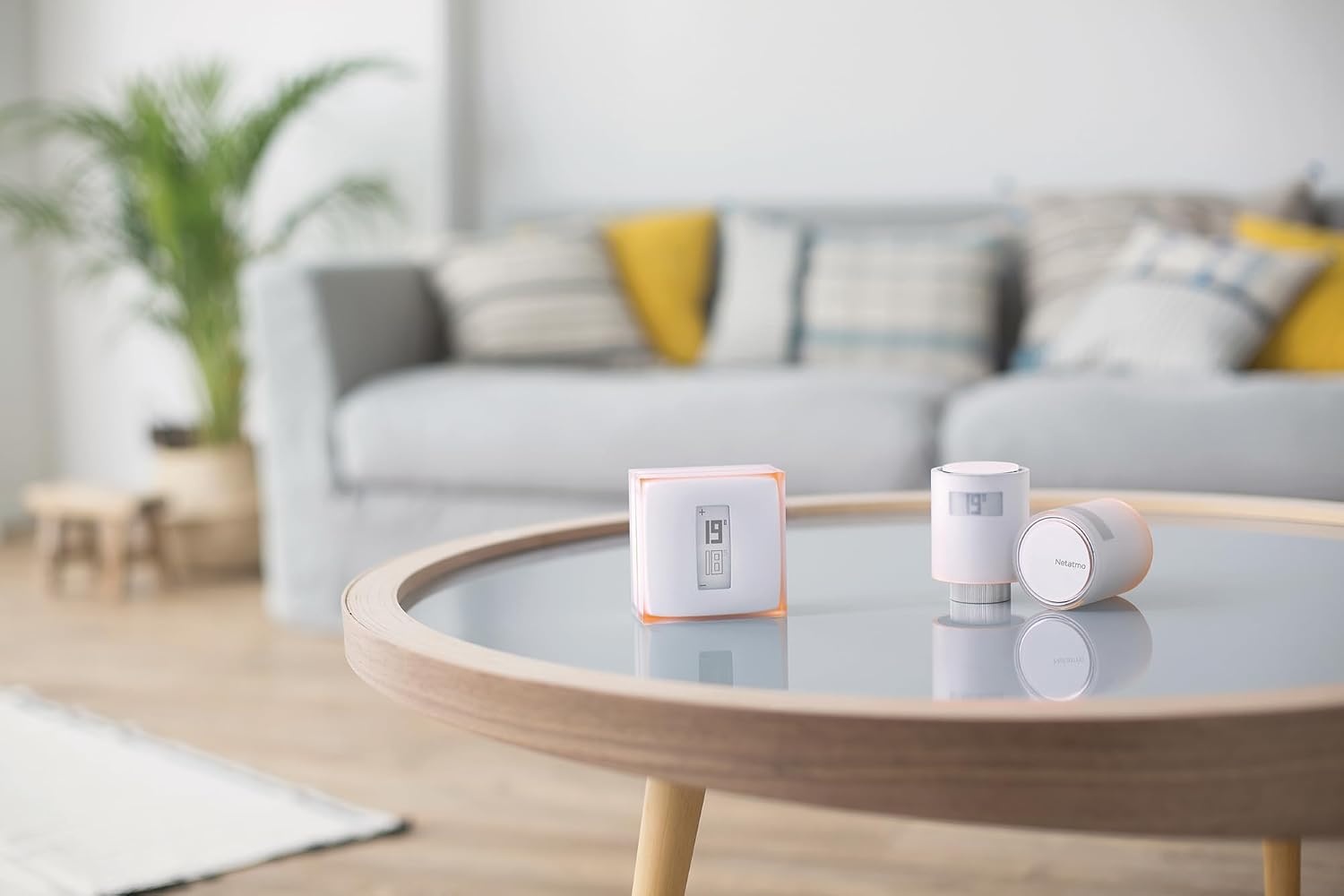 Netatmo Thermostat Intelligent & 3 Vannes Connectées - Jusqu'à -35% sur l'Outlet