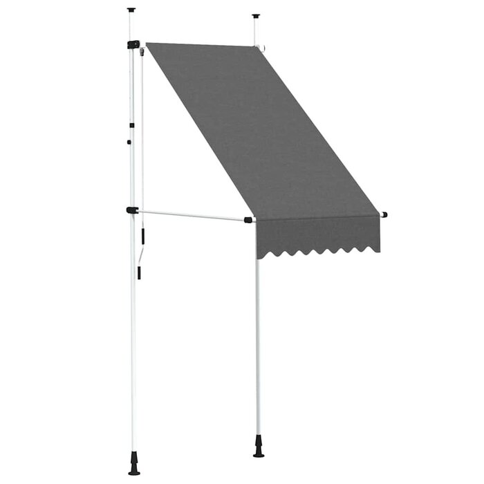 Vidaxl Store banne manuel rétractable 100 cm anthracite - Jusqu'à 29% de remise