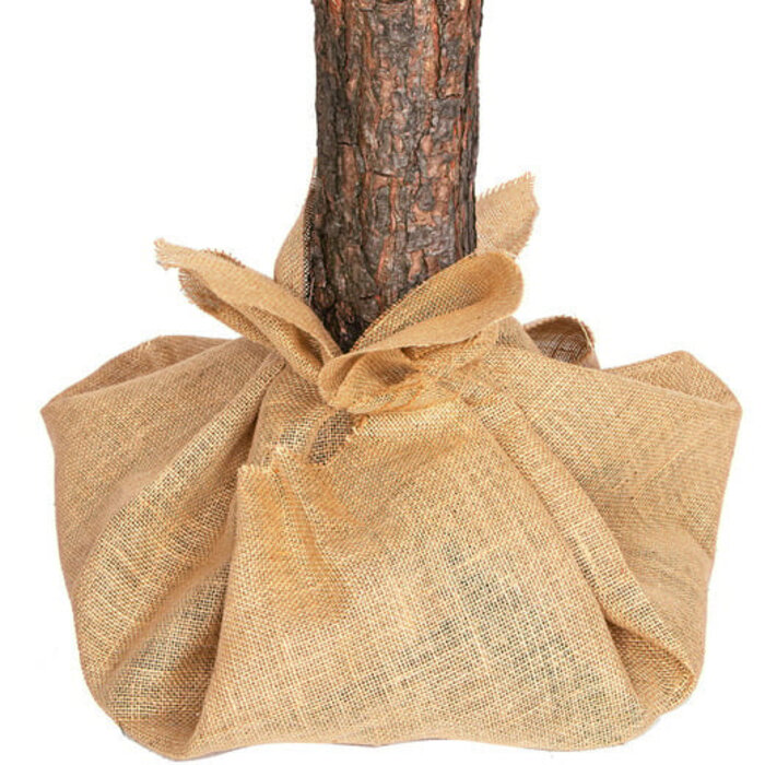 Sapin de Noël 160 cm avec tronc bois naturel - Jusqu'à -33%